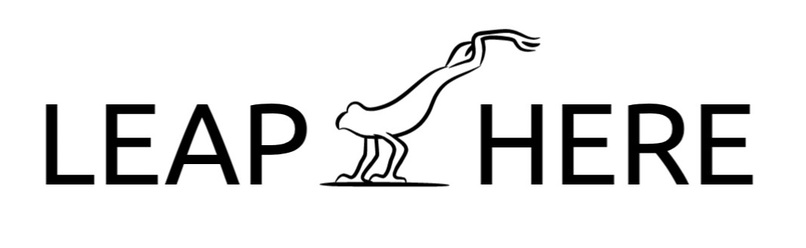 Leap Here – screenshot 1