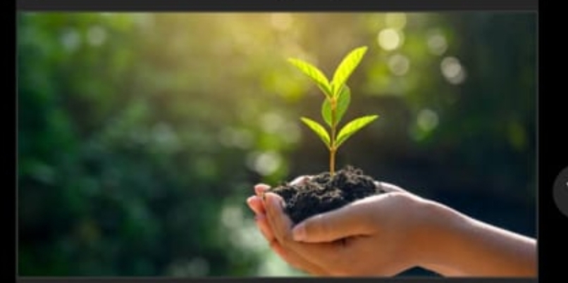 Grow Green- A Youthopeian Initiative – screenshot 1