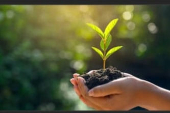 Grow Green- A Youthopeian Initiative