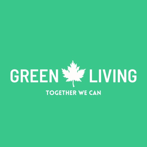 Green Living Youthopeian – screenshot 7