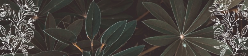 Green Living Youthopeian – screenshot 18