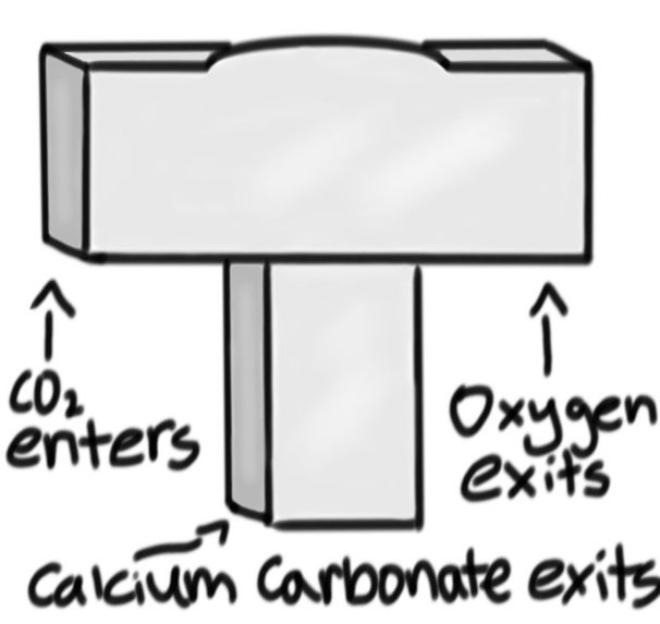 CO2 Extinguishers – screenshot 1