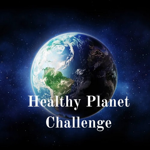 Healthy Planet Challenge – screenshot 1