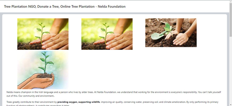 EnvNet – screenshot 3