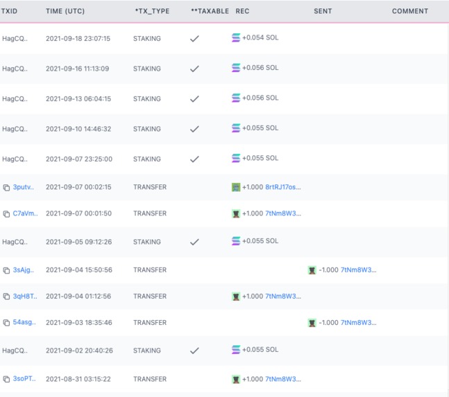stake.tax – screenshot 2
