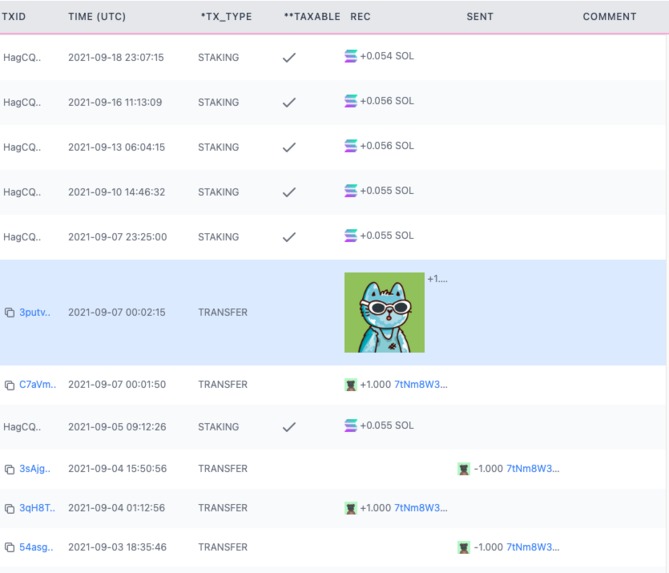 stake.tax – screenshot 4