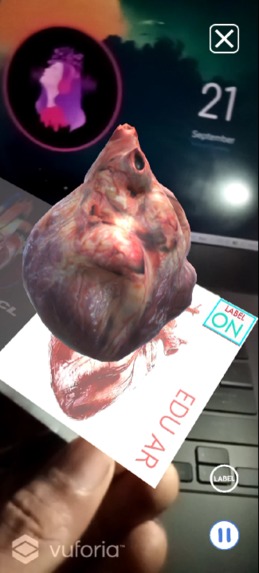 EDUAR – screenshot 4