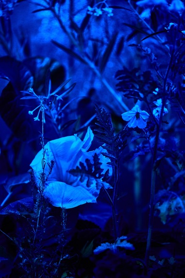 THE HUB – screenshot 3