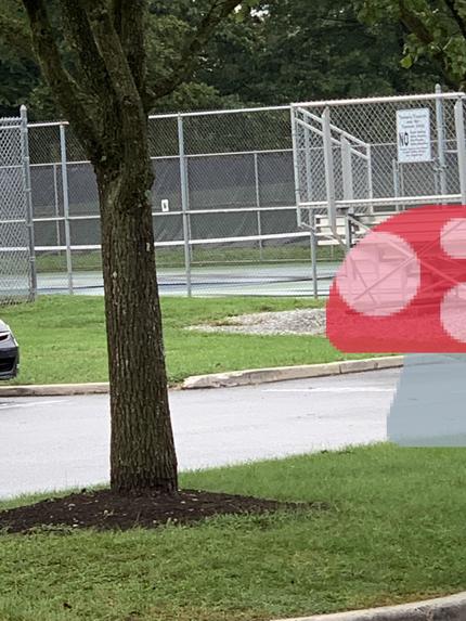 Augen – screenshot 2