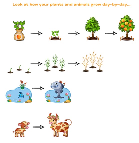 Farmigros – screenshot 8