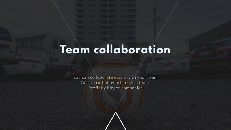 Mangosoft HR – screenshot 3