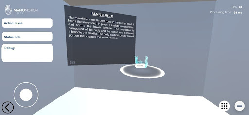 Anatomy 101 – screenshot 2