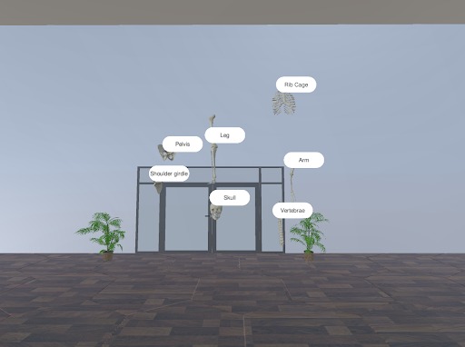 Anatomy 101 – screenshot 4