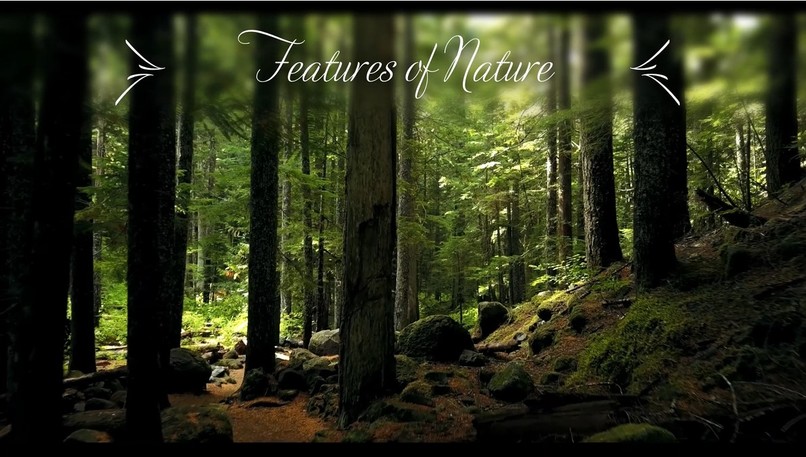 Features of Nature – screenshot 1