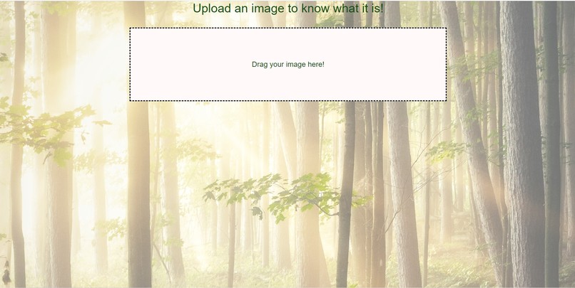 Features of Nature – screenshot 3