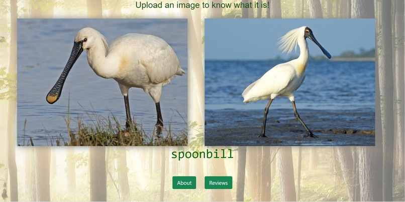 Features of Nature – screenshot 4