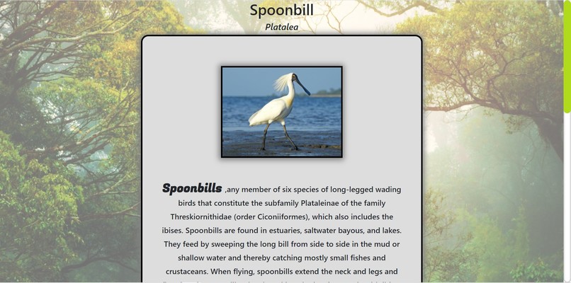 Features of Nature – screenshot 5