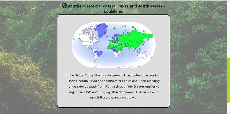Features of Nature – screenshot 6