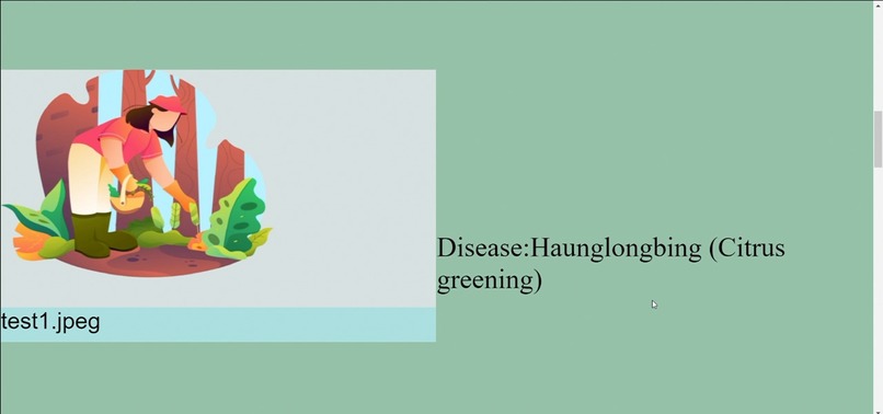 Plaocter  – screenshot 2