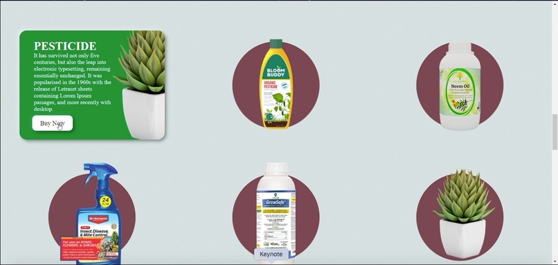 Plaocter  – screenshot 3