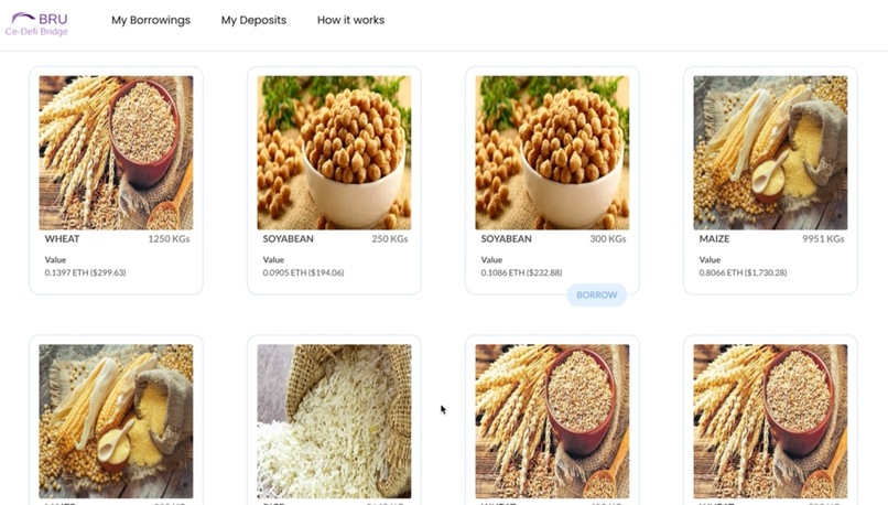 Bru Finance – screenshot 2