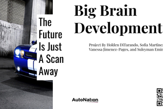 Big Brain Development
