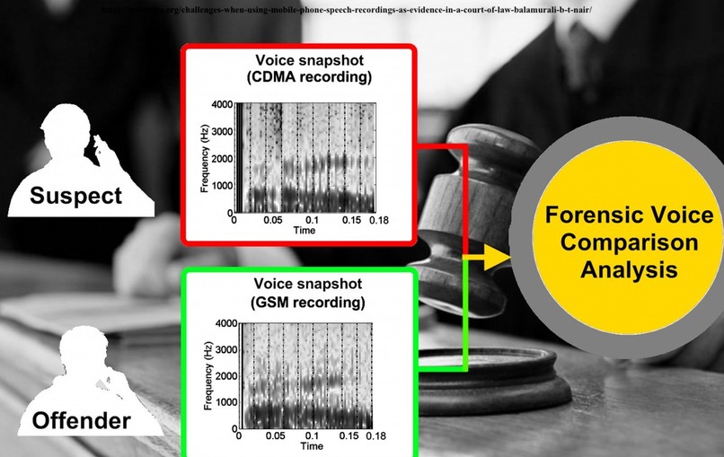 Person Identification Emotion Detection and Hiding by Voice – screenshot 1