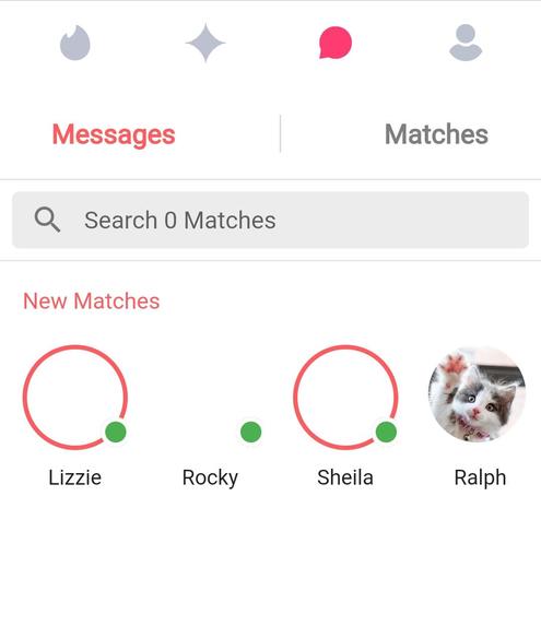 PawfectMatch – screenshot 4