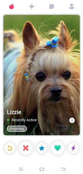 PawfectMatch – screenshot 3