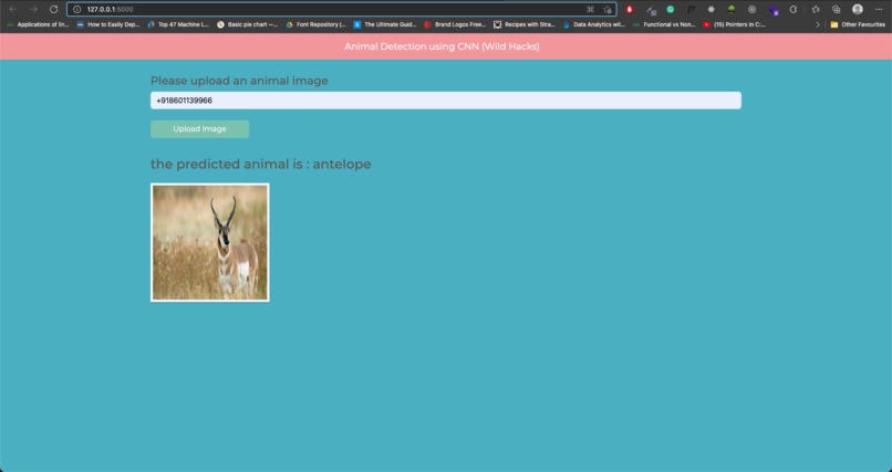 Animal Detection using CNN – screenshot 1