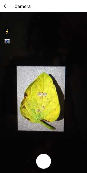 Plant Beat – screenshot 1