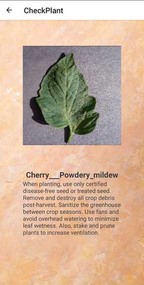 Plant Beat – screenshot 4