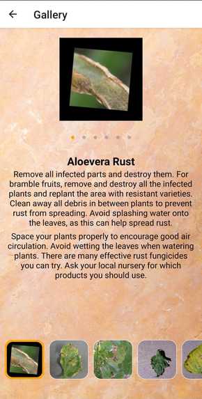 Plant Beat – screenshot 6