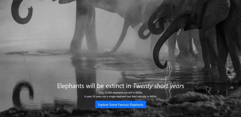 save-wildlife-with-us – screenshot 2