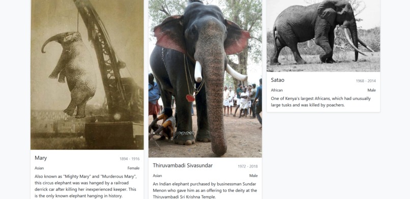 save-wildlife-with-us – screenshot 4