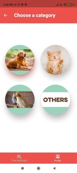 Furry Friends – screenshot 3