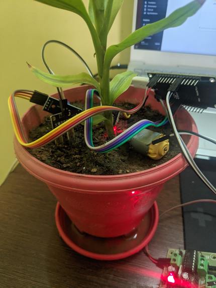 E-Gardner – screenshot 1