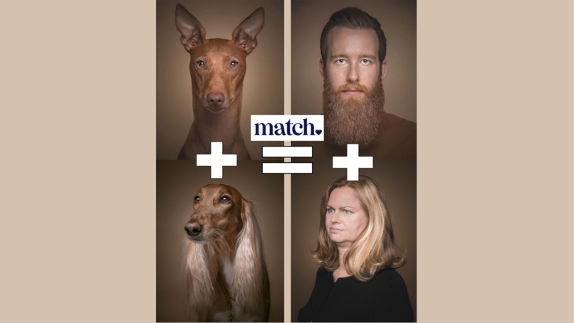 My Dog Ate my Dating Profile – screenshot 1