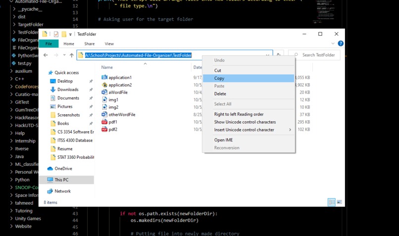 Automated File Organizer  – screenshot 2