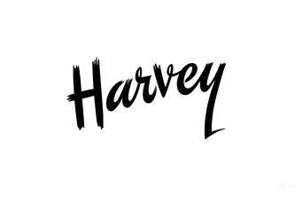 Harvey - A virtual study buddy for students
