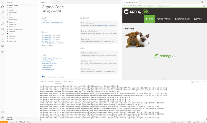 DevSpaces – screenshot 3