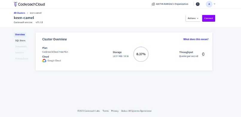 AI RCMS Bot – screenshot 1