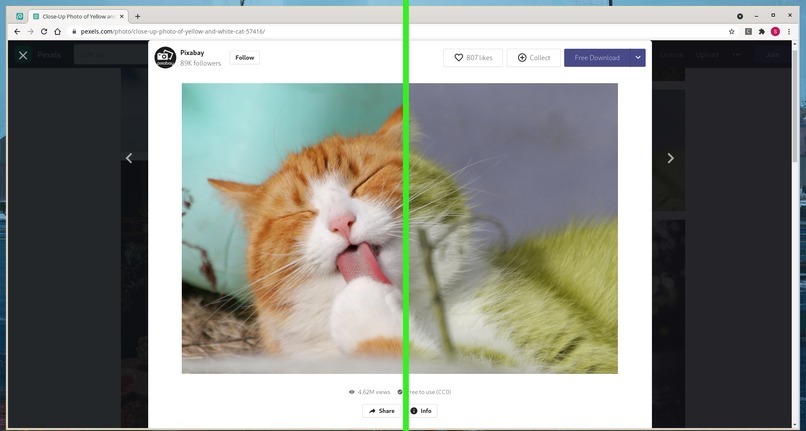 Color Programmatic – screenshot 1