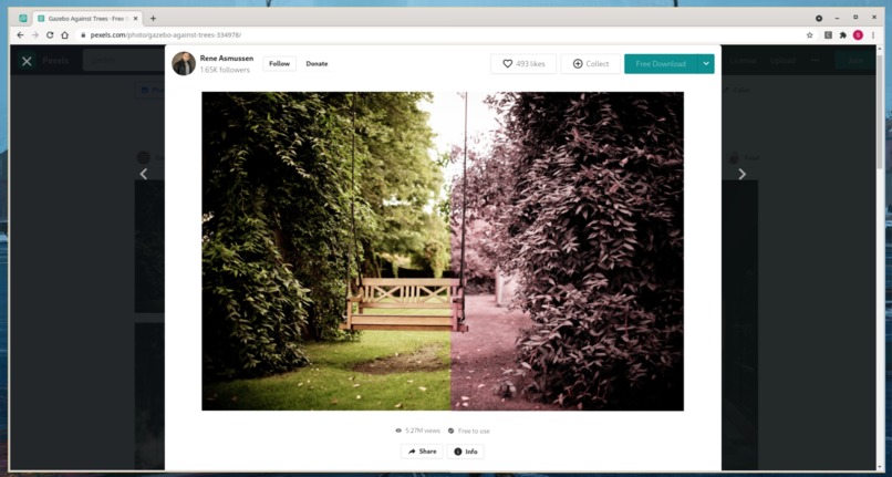 Color Programmatic – screenshot 2