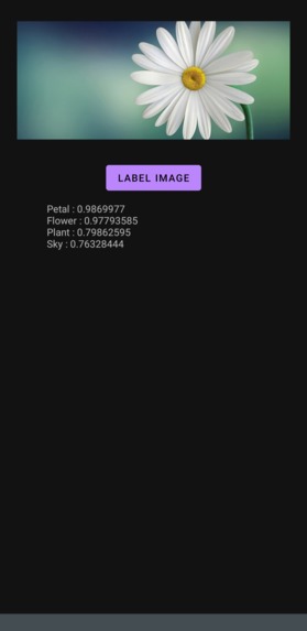 Labeling Image Using Machine Learning TFlite – screenshot 2