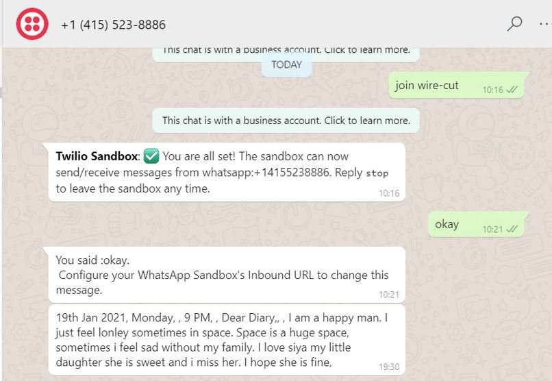 Space Diaries – screenshot 13