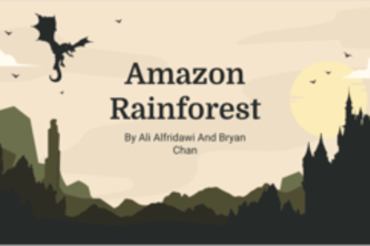 Amazon Rainforest Tracker
