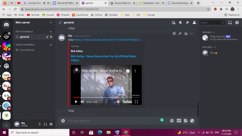 Discord music bot – screenshot 1