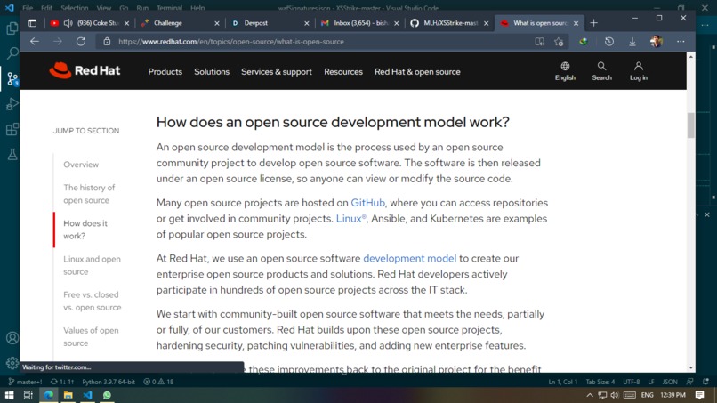 learning about open source and recreating a project – screenshot 1