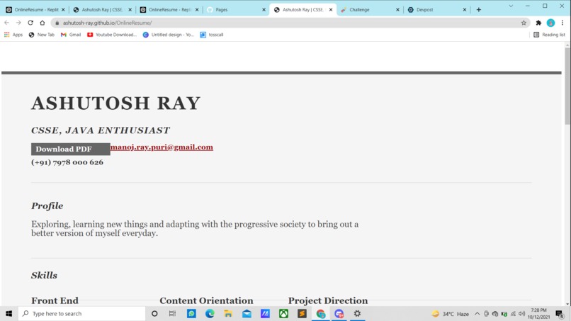 Online Resume – screenshot 1